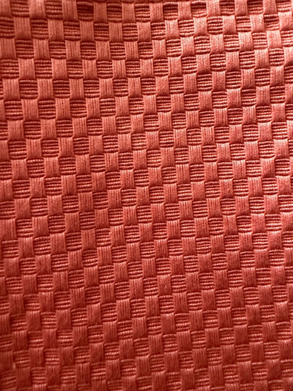 Schumacher Rust Barnet Cotton Fabric Panel / Sample